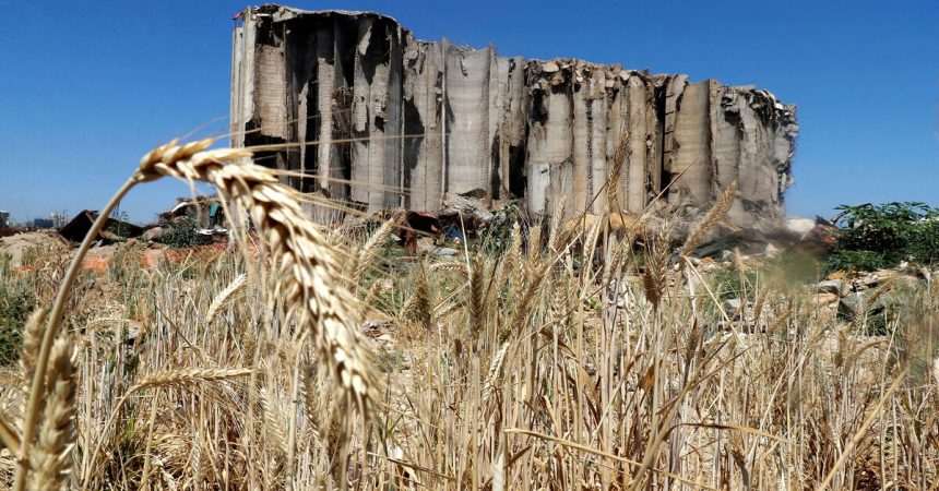 Lebanese fear wheat shortage amid Ukrainian crisis