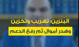 جنوبية بالفيديو: مارديني لـ«جنوبية»: هذا ما جناه دعم المحروقات على أموال المودعين!ا
