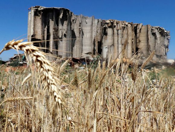 The War on Ukraine Impact on Bread and Electricity in Lebanon