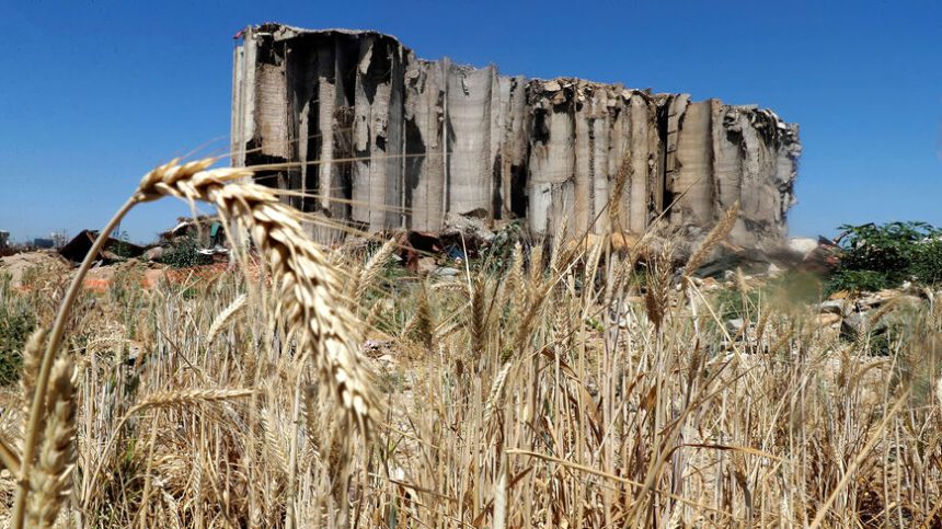 The War on Ukraine Impact on Bread and Electricity in Lebanon