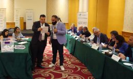parliamentary elections